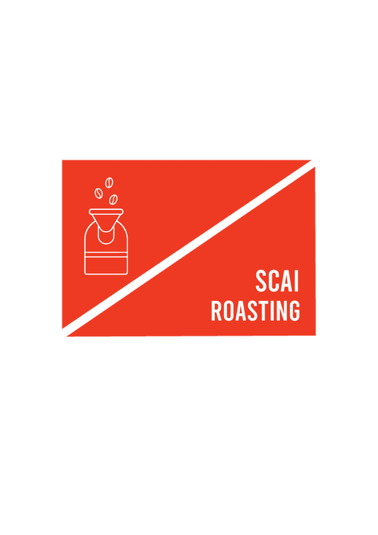 Roasting workshop conducted by SCAI to address coffee roasitng101