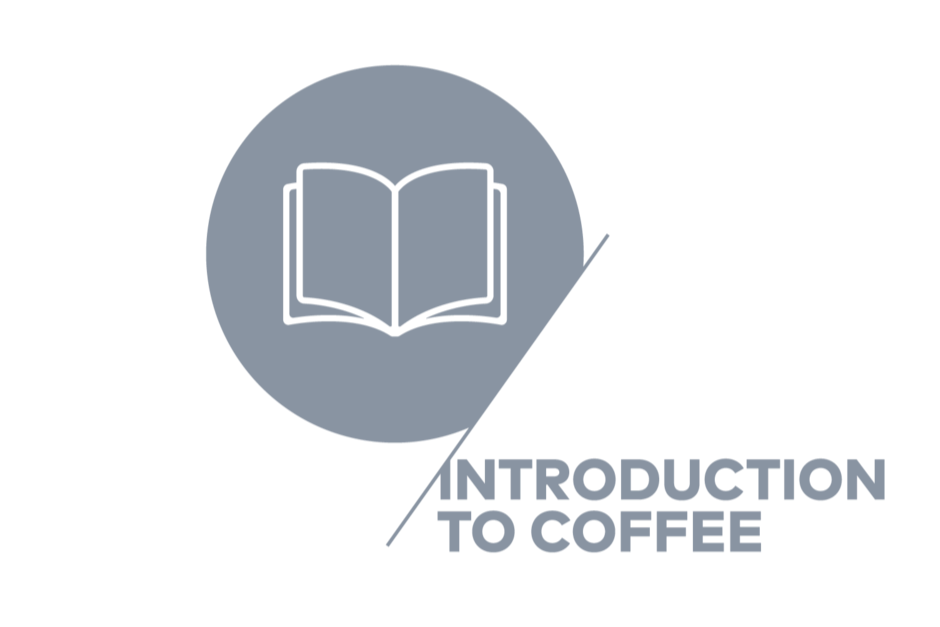 Introduction to Coffee