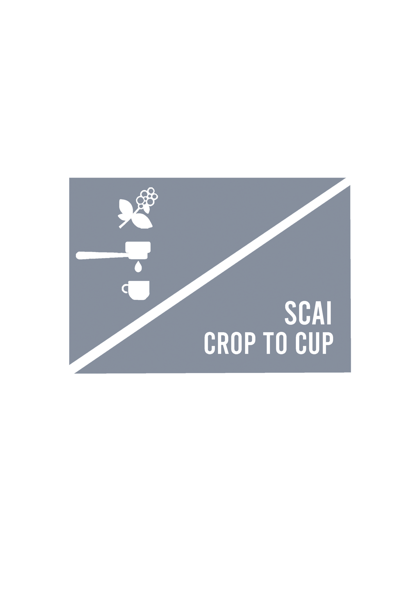 SCAI Crop to Cup Workshop - Mizoram Chapter