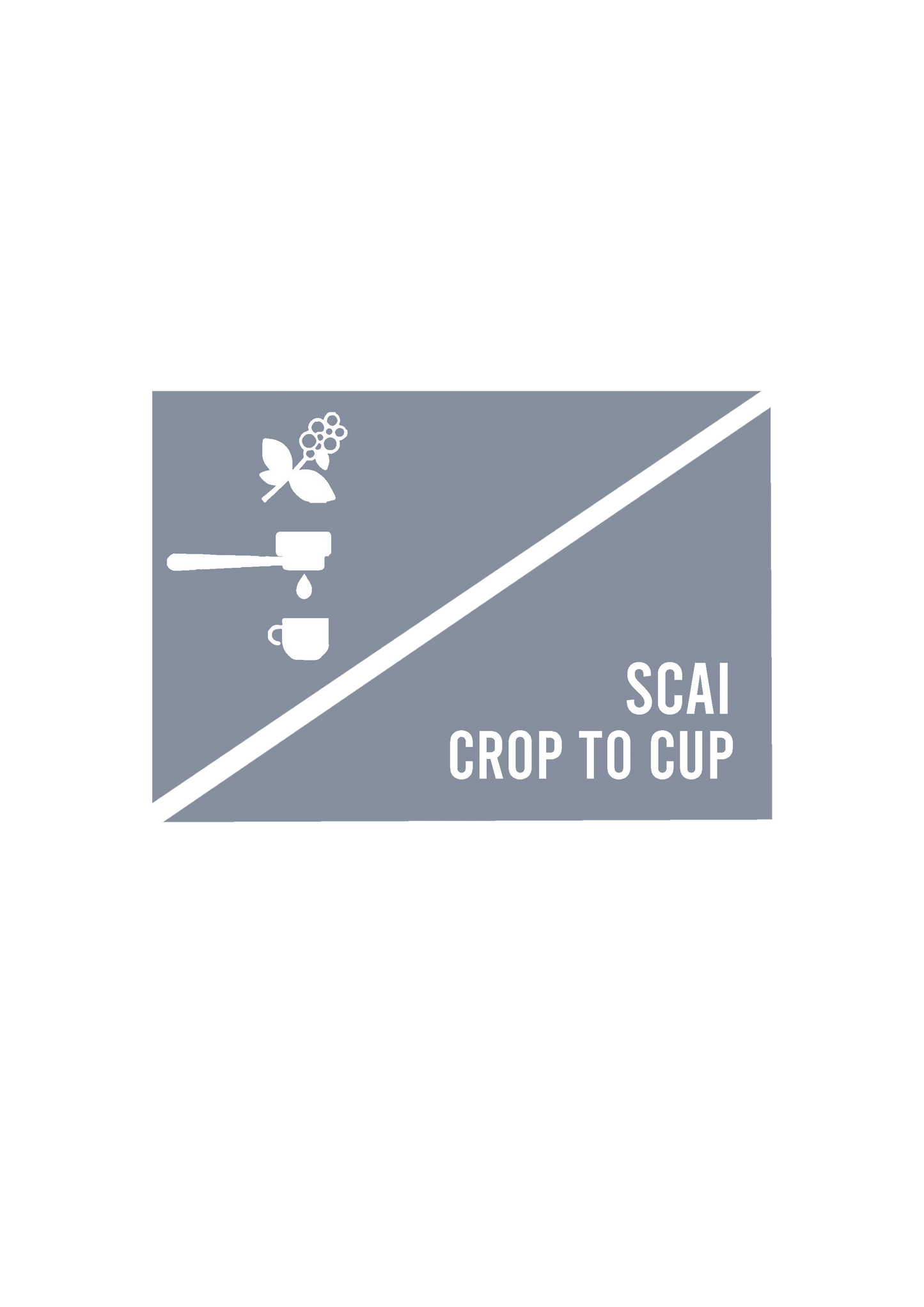 SCAI crop to cup workshop detailing out journey of coffee from plantation to a beverage cup
