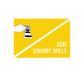 SCAI sensory workshop covering sensory skills 101