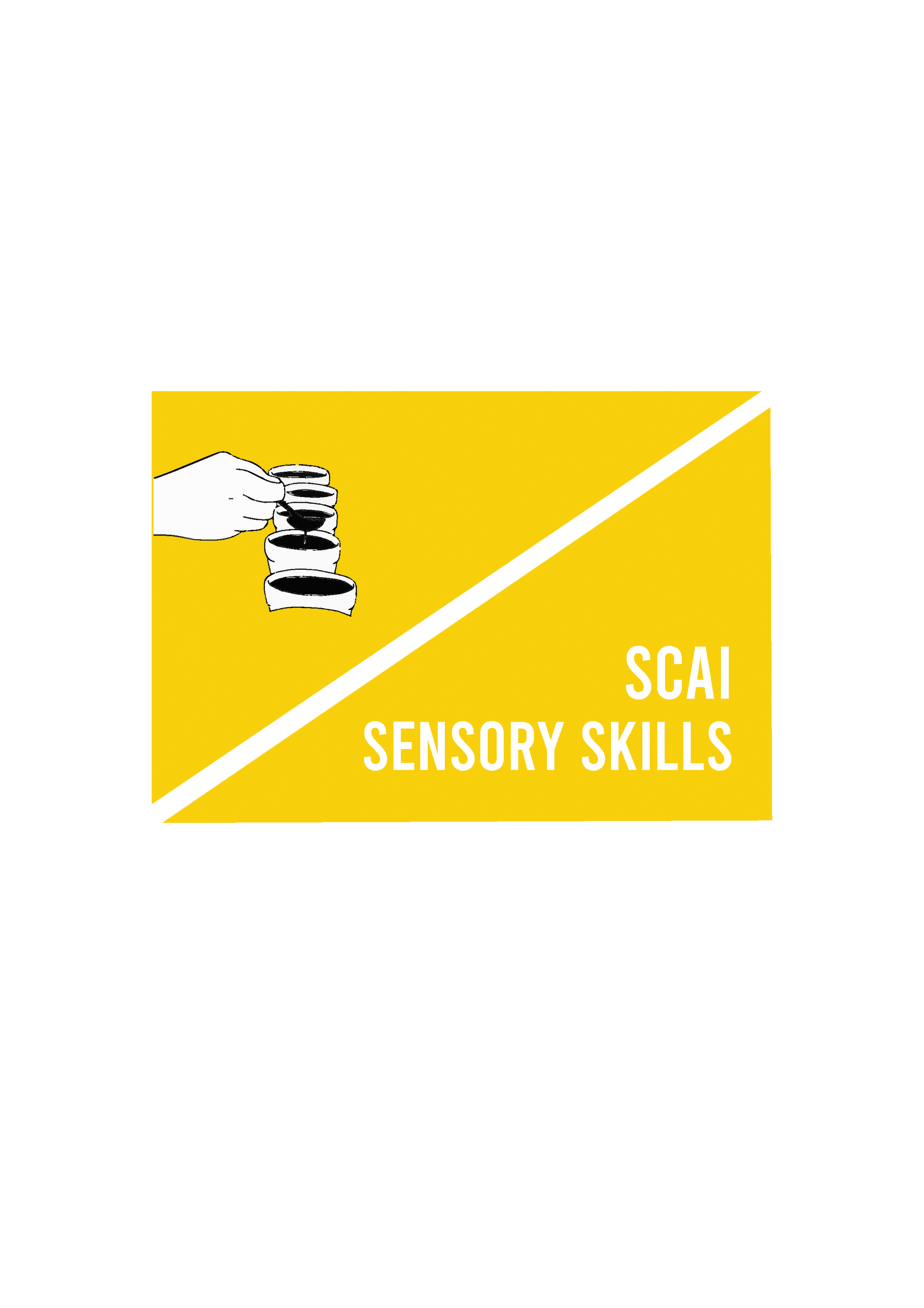 SCAI sensory workshop covering sensory skills 101