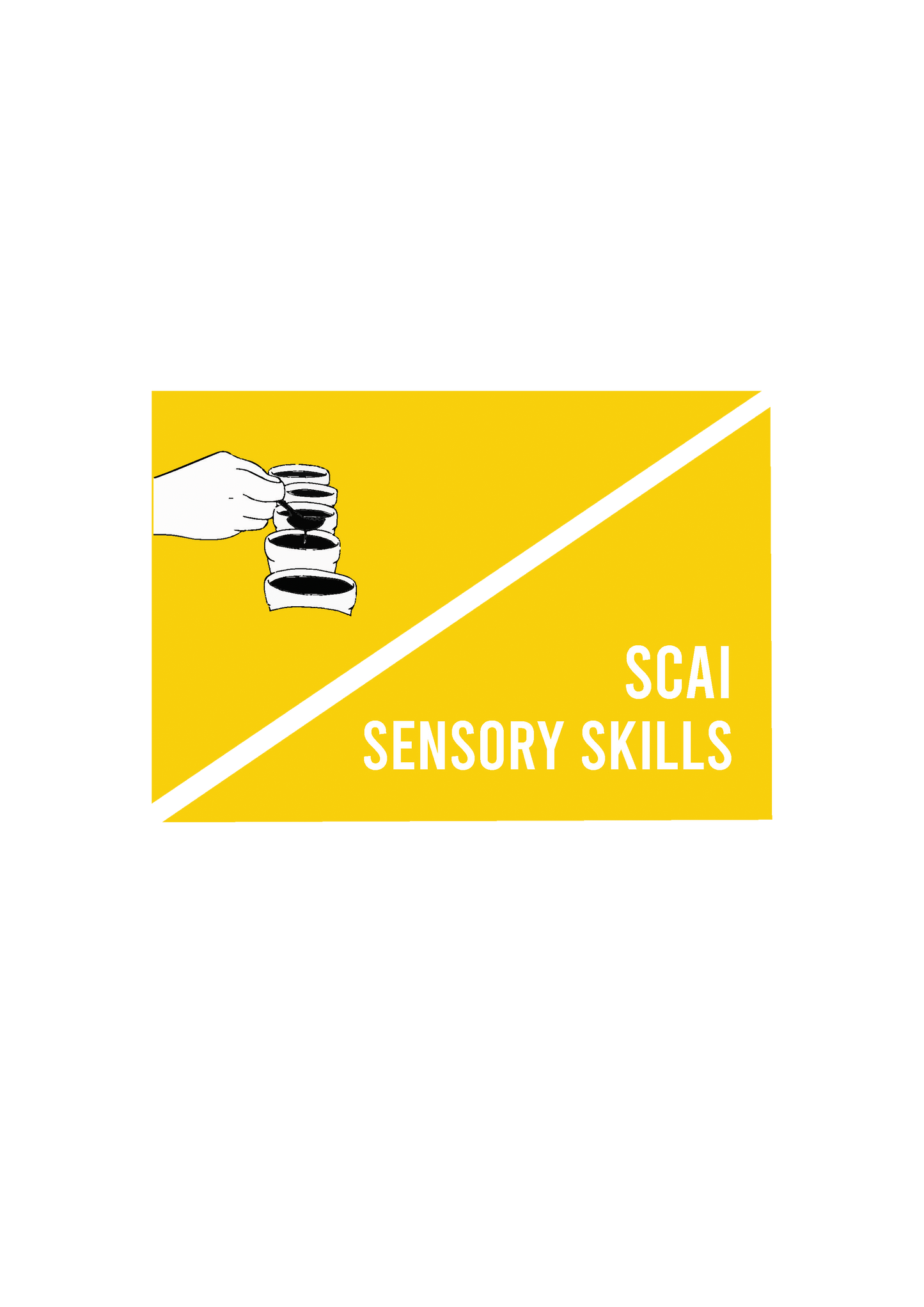 SCAI sensory workshop covering sensory skills 101