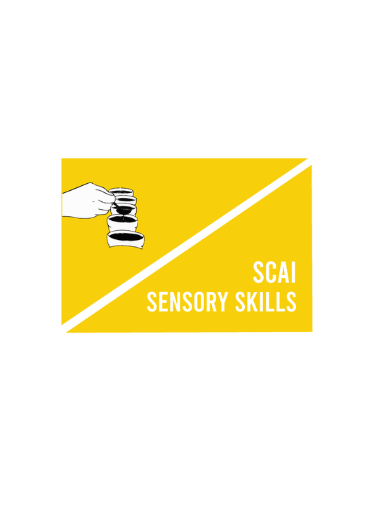 SCAI sensory workshop covering sensory skills 101